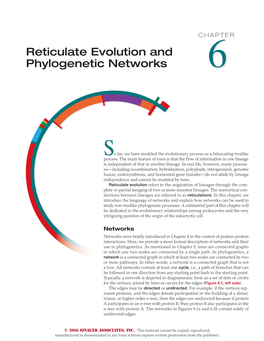 Reticulate Evolution and Phylogenetic Networks 6