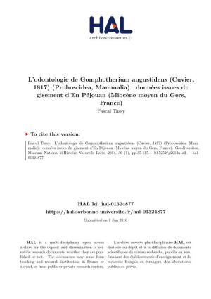 L'odontologie De Gomphotherium Angustidens (Cuvier, 1817
