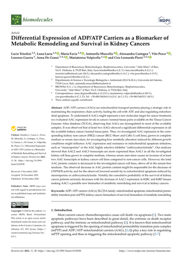 Differential Expression of ADP/ATP Carriers As a Biomarker of Metabolic Remodeling and Survival in Kidney Cancers