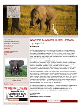 News from the Amboseli Trust for Elephants