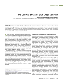 The Genetics of Canine Skull Shape Variation
