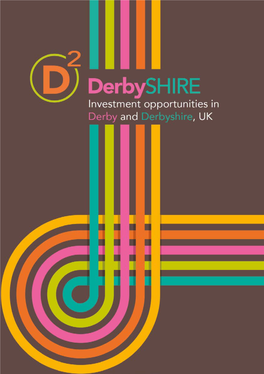 Download the D2 Prospectus of Investment Opportunities