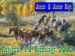Regional Jr. High Hippology ID 2012