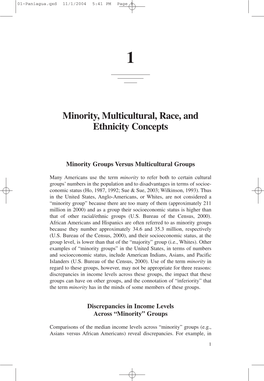Minority, Multicultural, Race, and Ethnicity Concepts