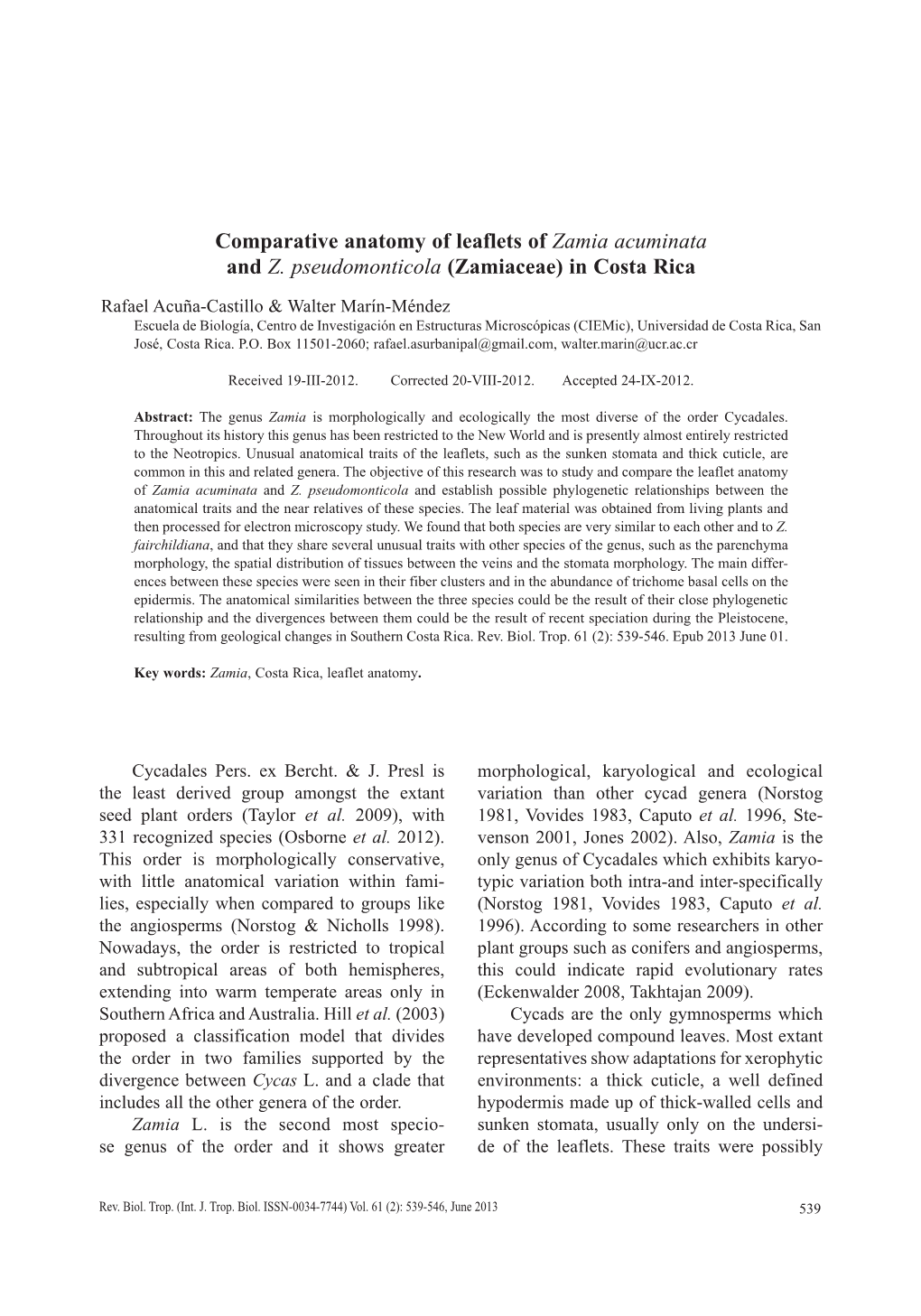 Comparative Anatomy of Leaflets of Zamia Acuminata and Z