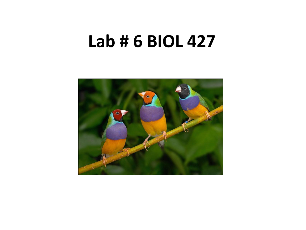 Lab # 6 BIOL 427 LAB EXAM in TWO WEEKS