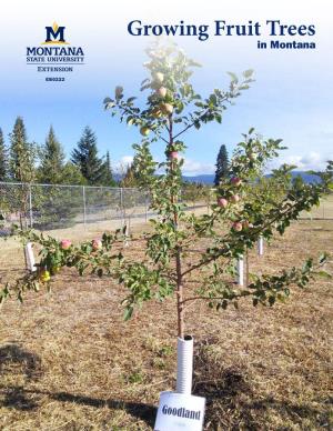 Growing Fruit Trees in Montana