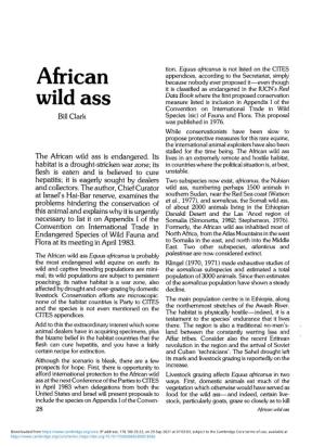 African Wild Ass the African Wild Ass Is Endangered