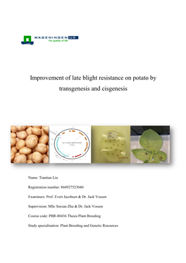Improvement of Late Blight Resistance on Potato by Transgenesis and Cisgenesis