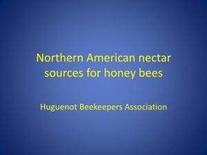 Northern American Nectar Sources for Honey Bees