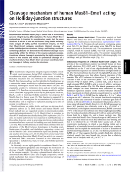 Cleavage Mechanism of Human Mus81–Eme1 Acting on Holliday-Junction Structures