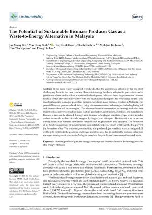 The Potential of Sustainable Biomass Producer Gas As a Waste-To-Energy Alternative in Malaysia