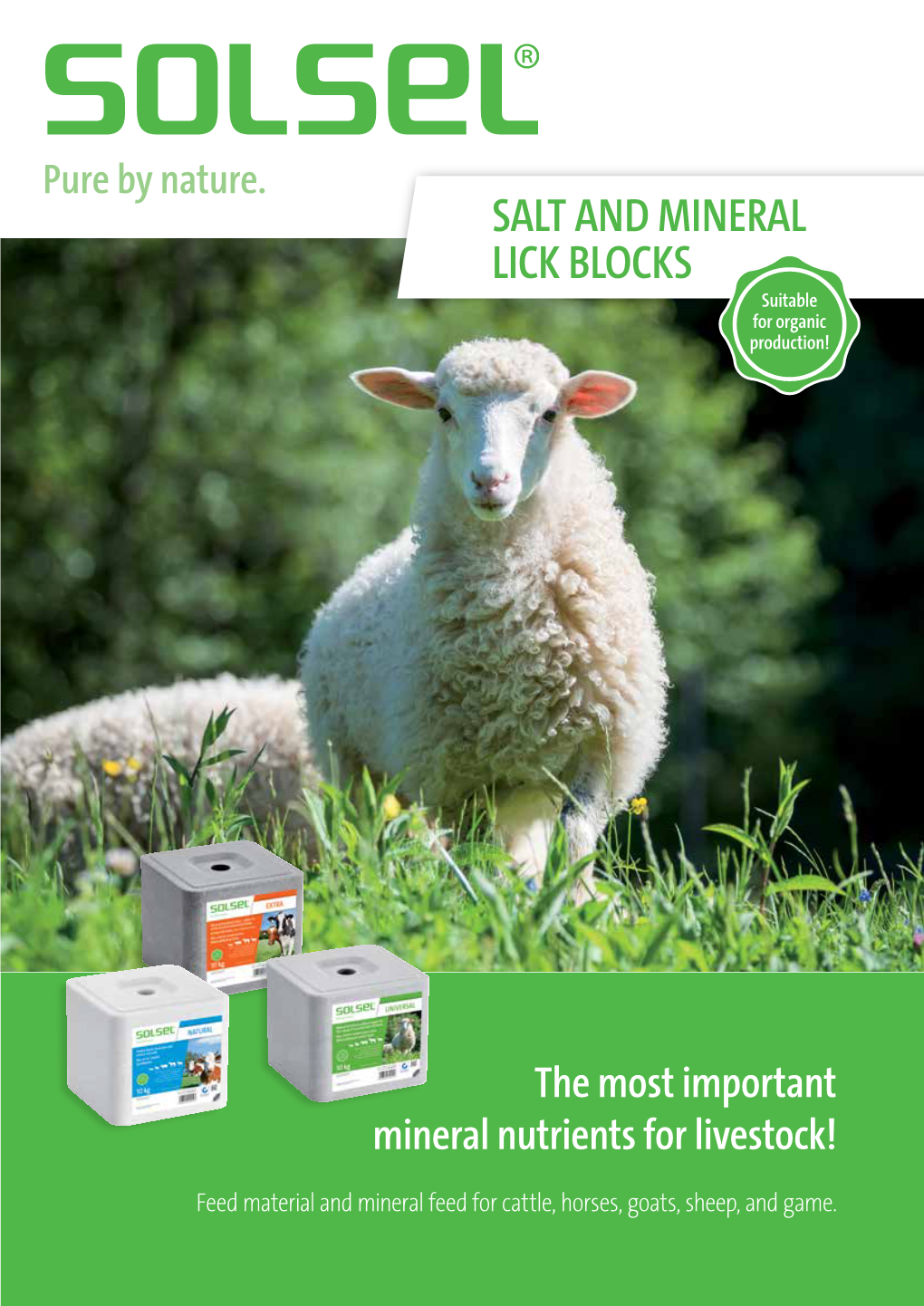 SALT and MINERAL LICK BLOCKS Suitable for Organic Production!