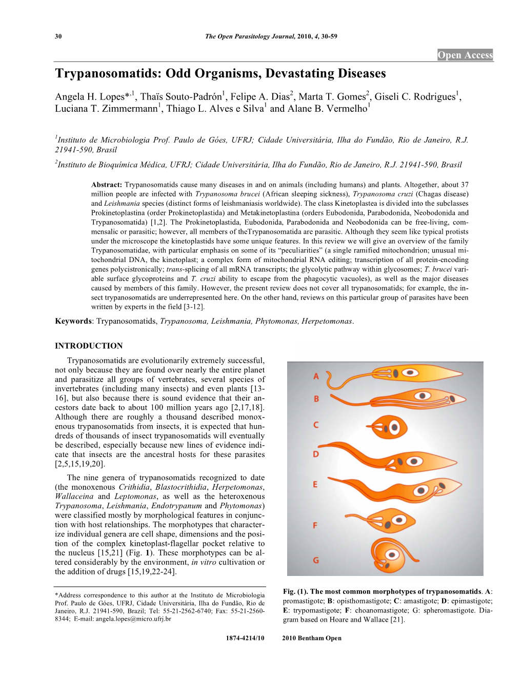 Trypanosomatids: Odd Organisms, Devastating Diseases