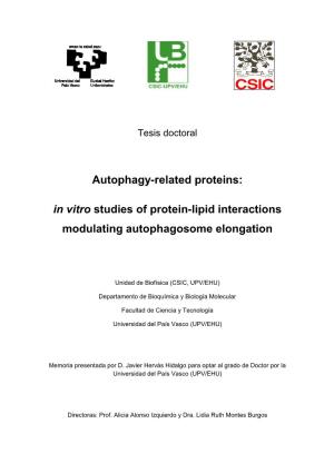 In Vitro Studies of Protein-Lipid Interactions Modulating Autophagosome Elongation