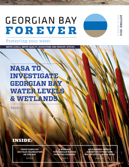 Nasa to Investigate Georgian Bay Water Levels & Wetlands