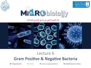 Lecture 6 Gram Posi/Ve & Nega/Ve Bacteria