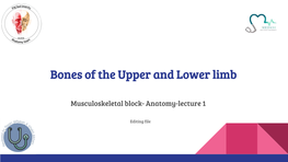 Bones of the Upper and Lower Limb