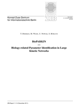 Biology-Related Parameter Identification in Large Kinetic