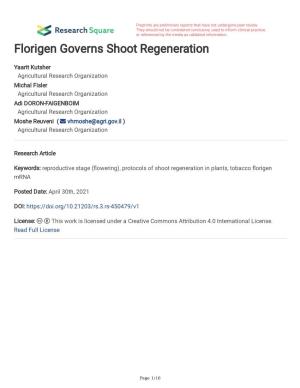 Florigen Governs Shoot Regeneration