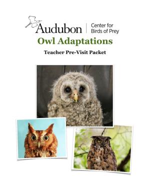 Owl Adaptations Teacher Pre-Visit Packet Welcome!