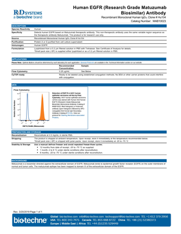 Human EGFR (Research Grade Matuzumab Biosimilar) Antibody