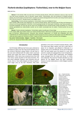 Tischeria Decidua (Lepidoptera: Tischeriidae), New to the Belgian Fauna