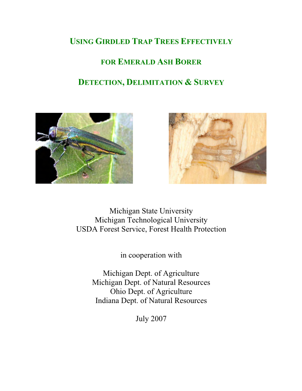 Using Girdled Trap Tree Effectvely for Emeral Ash Borer, Detection