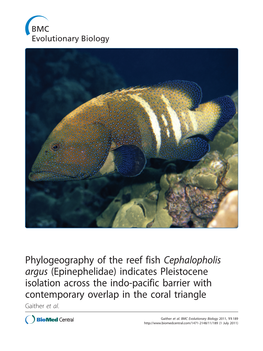 Phylogeography of the Reef Fish Cephalopholis Argus (Epinephelidae)