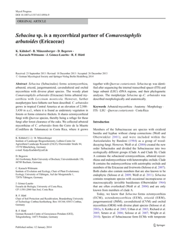 Sebacina Sp. Is a Mycorrhizal Partner of Comarostaphylis Arbutoides (Ericaceae)