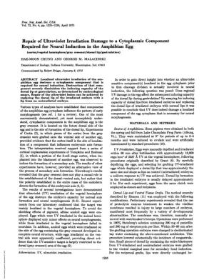 Repair of Ultraviolet Irradiation Damage to a Cytoplasmic
