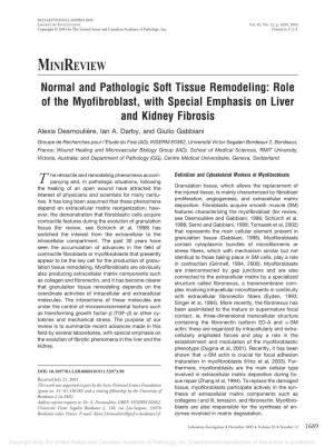 MINIREVIEW Normal and Pathologic Soft Tissue Remodeling: Role of the Myofibroblast, with Special Emphasis on Liver and Kidney Fibrosis Alexis Desmoulière, Ian A