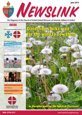 June 2014 Newslink the Magazine of the Church of Ireland United Dioceses of Limerick, Killaloe & Ardfert INSIDE COI Recognises Methodist Ministers P