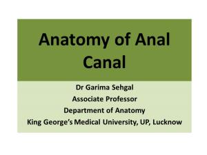 Anatomy of Anal Canal