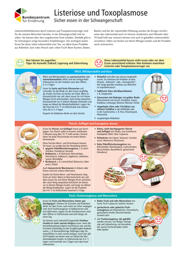 Listeriose Und Toxoplasmose Sicher Essen in Der Schwangerschaft