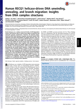 Human RECQ1 Helicase-Driven DNA Unwinding, Annealing, and Branch Migration: Insights from DNA Complex Structures