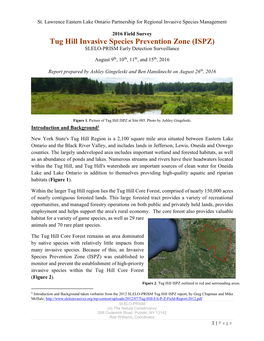 Tug Hill Invasive Species Prevention Zone (ISPZ) SLELO-PRISM Early Detection Surveillance