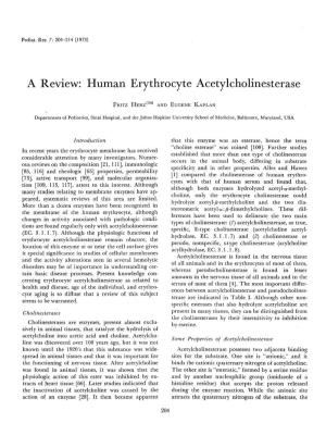 Human Erythrocyte Acetylcholinesterase