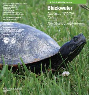Blackwater NWR Reptiles and Amphibians List