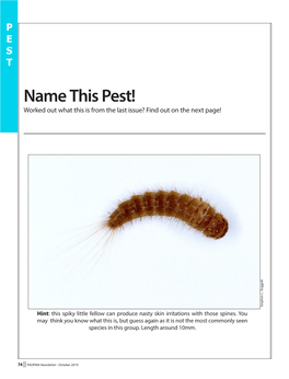 Last Issue Name This Pest