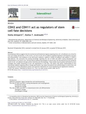 CDH2 and CDH11 Act As Regulators of Stem Cell Fate Decisions Stella Alimperti A, Stelios T