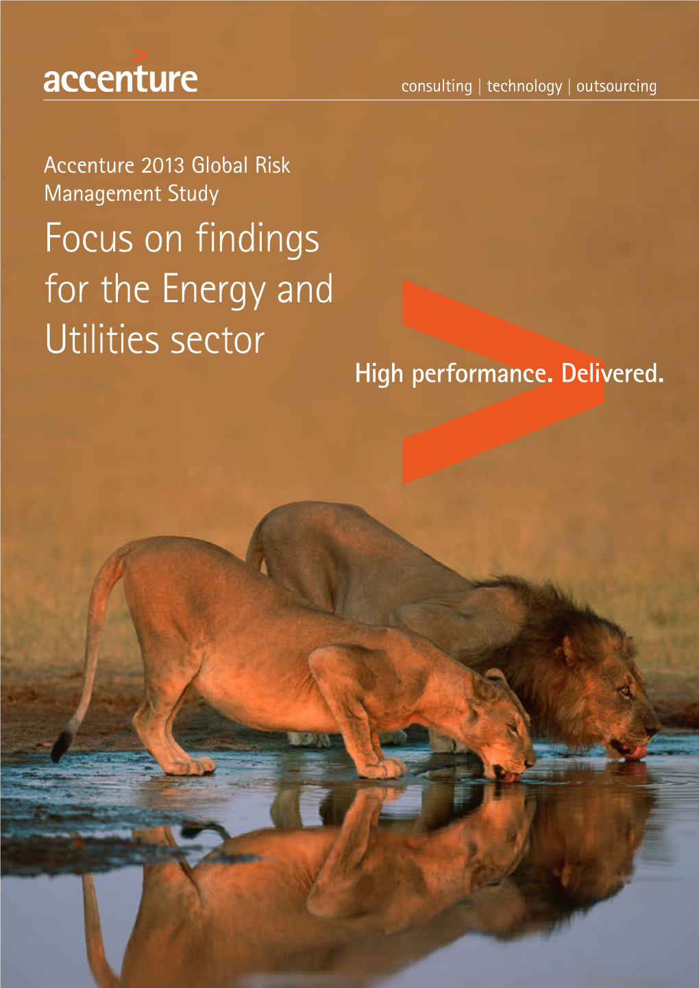 Focus on Findings for the Energy and Utilities Sector 2 Contents