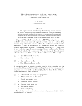 The Phenomenon of Polarity Sensitivity: Questions and Answers