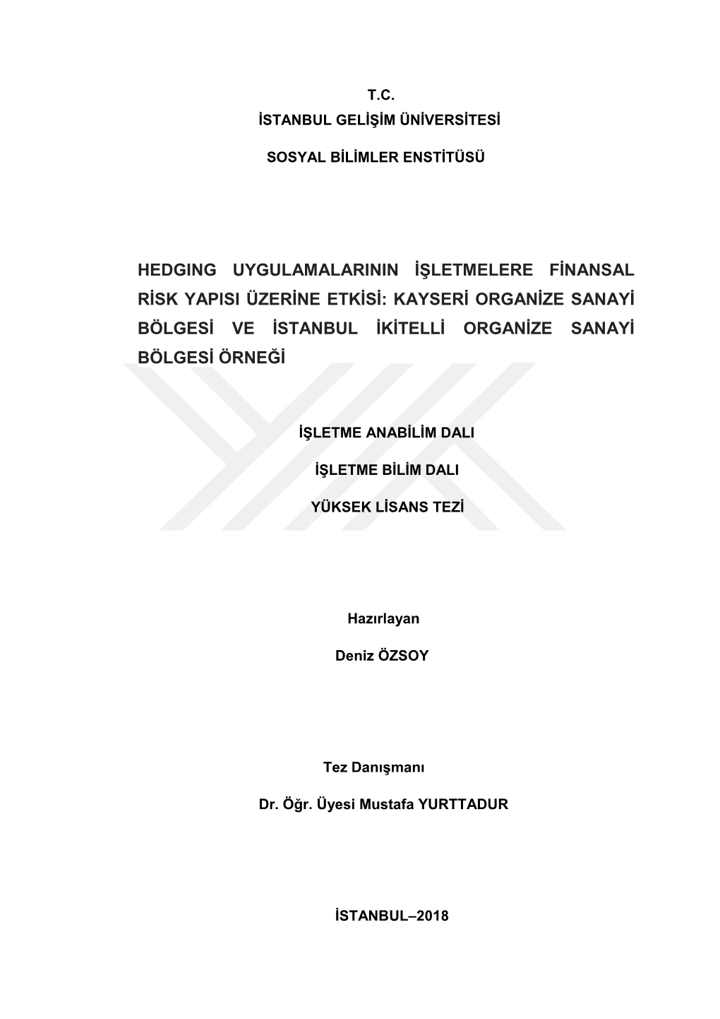 Hedging Uygulamalarinin Işletmelere Finansal Risk Yapisi Üzerine Etkisi: Kayseri Organize Sanayi Bölgesi Ve Istanbul Ikitelli Organize Sanayi Bölgesi Örneği