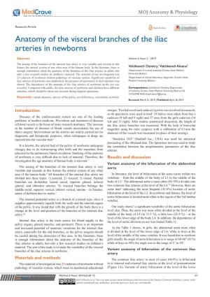 Anatomy of the Visceral Branches of the Iliac Arteries in Newborns