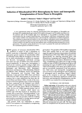 Induction of Mitochondrial DNA Heteroplasmy by Intra- and Interspecific Transplantation of Germ Plasm in Drosophila