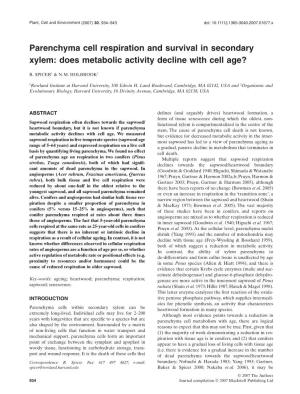 Parenchyma Cell Respiration and Survival in Secondary Xylem: Does Metabolic Activity Decline with Cell Age?