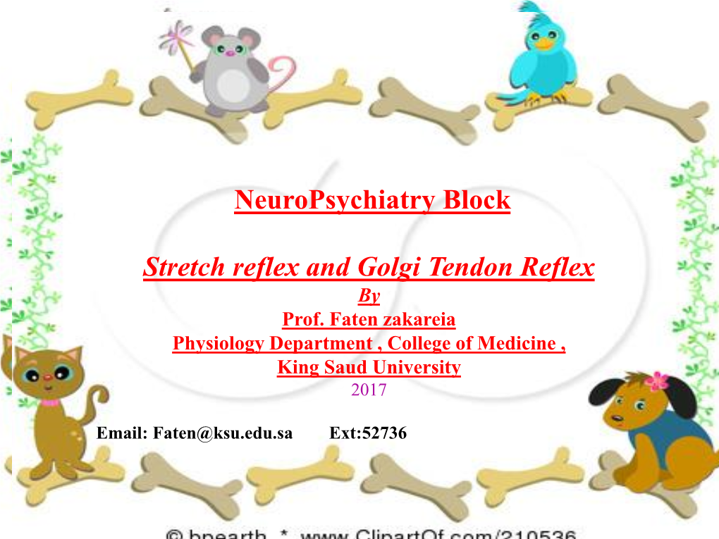 Neuropsychiatry Block Stretch Reflex and Golgi Tendon Reflex