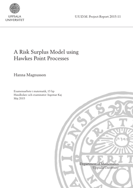 A Risk Surplus Model Using Hawkes Point Processes