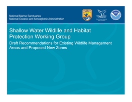 Shallow Water Wildlife and Habitat Protection Working Group